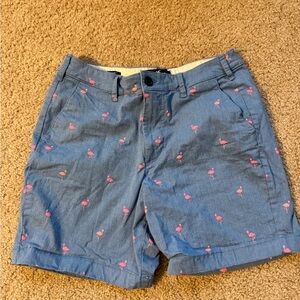 Men’s Blue Flamingo Print Shorts